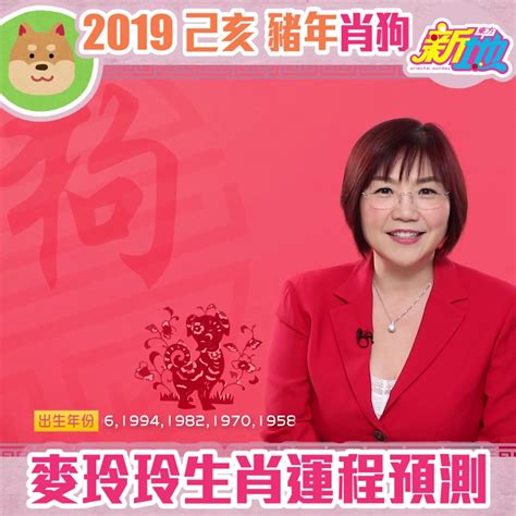 麥玲玲风水2023